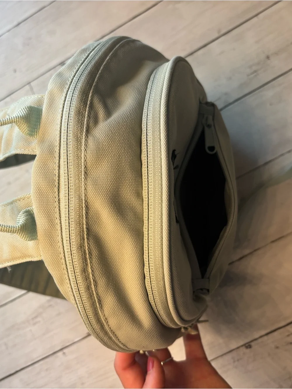 Dakine Everyday Backpack Bag in Sage